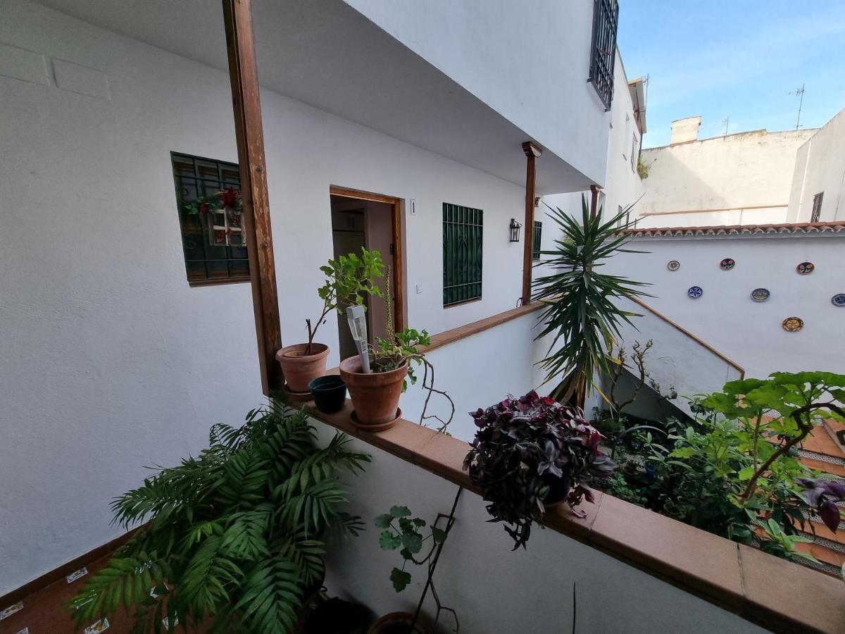 Apartamento Entre Patios San Basilio Apartment Cordoba Exterior photo